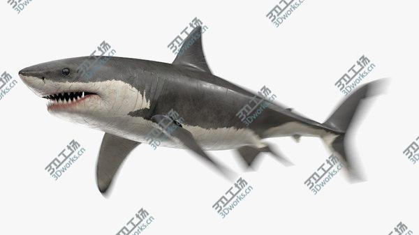 images/goods_img/20210312/3D Great White Shark Animated/1.jpg